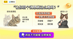 本人伴侣的事务时